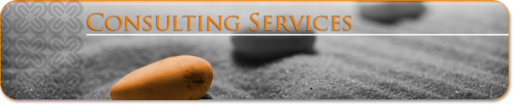 Rito Consulting Services